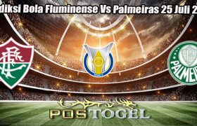 Prediksi Bola Fluminense Vs Palmeiras 25 Juli 2024